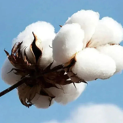 2025 New CBUM 6PEAT Shirt Oversized Black 100% Cotton Printing T-Shirt DTG Print Men US Size Bodybuilding Gym Streetwear Top Y2K